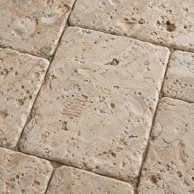 Tumbled shellstone close up